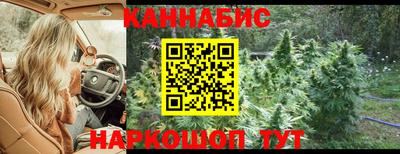 дживик Аша