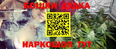 дживик Аша