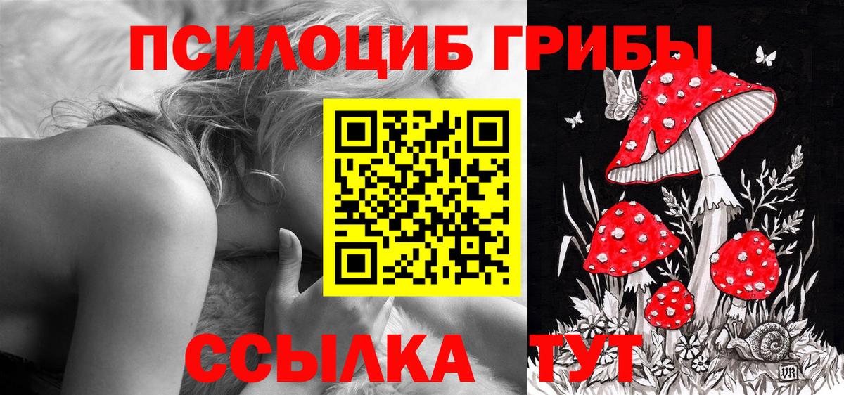 Черкесск  Галлюциногенные грибы прущие грибы  где можно купить   Вход с VPN 