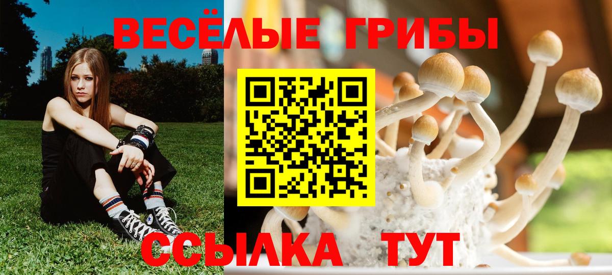 Галлюциногенные грибы прущие грибы Черкесск